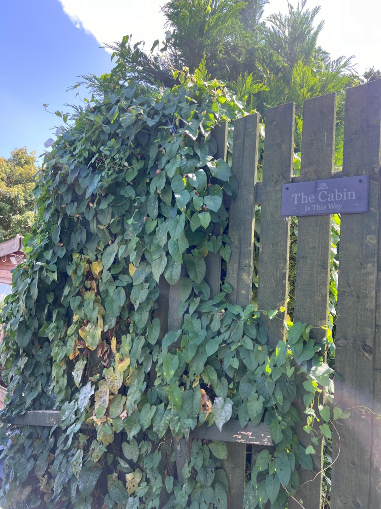 The Cabin Bradford-On-Avon Екстер'єр фото